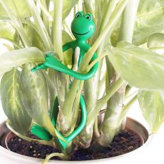 Attache-plantes grenouille x2